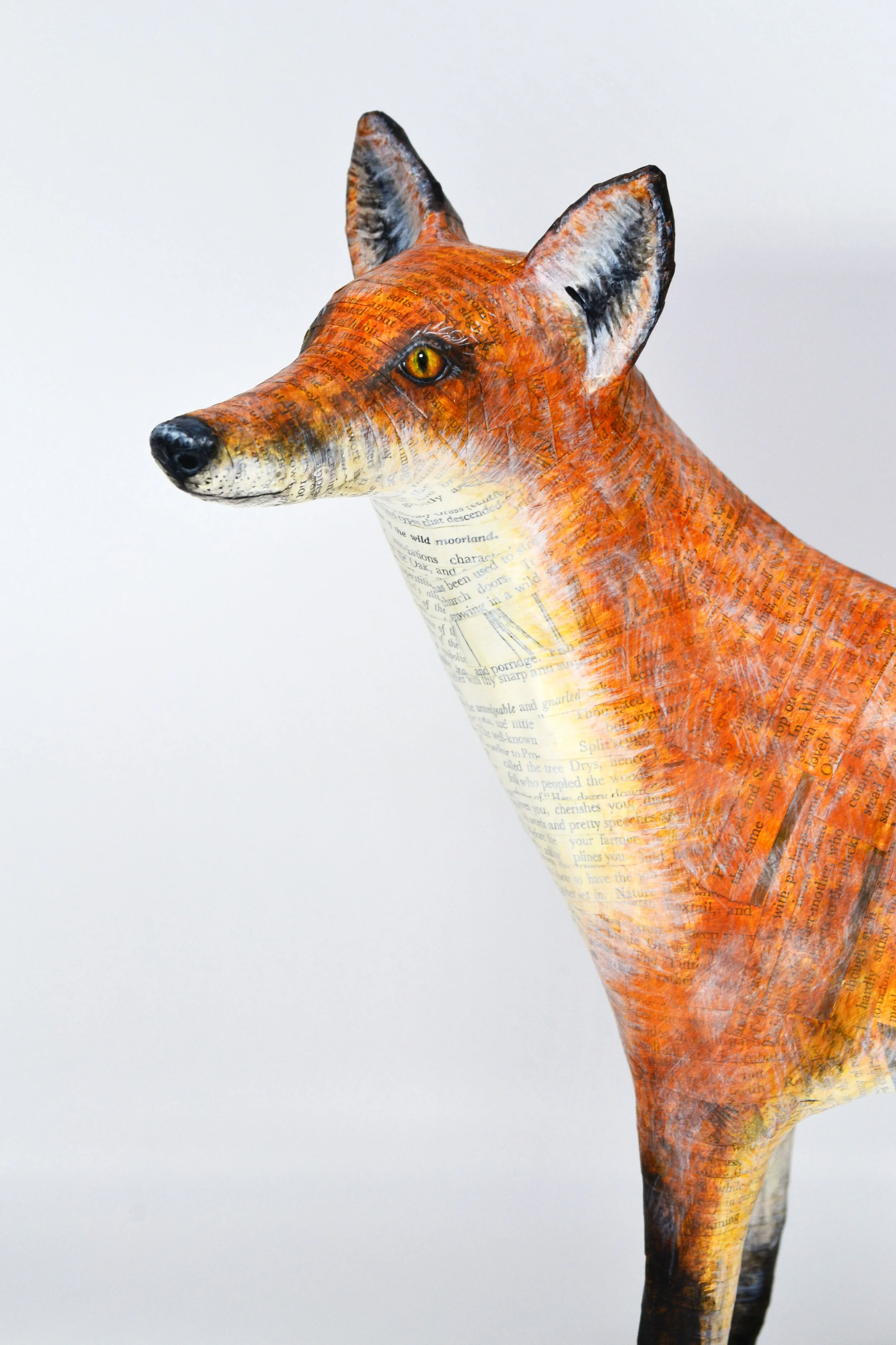 Fox — Suzanne Breakwell